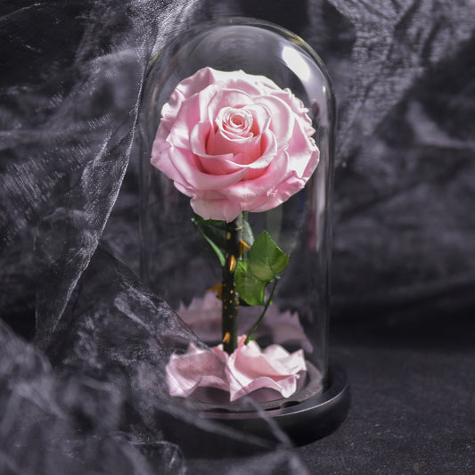 Forever Rose Everlasting Rose in Glass Dome 3 Days Delivery - Blue