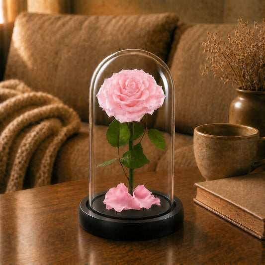 Preserved Rose in Glass Dome A Memory Preserved in A Rose