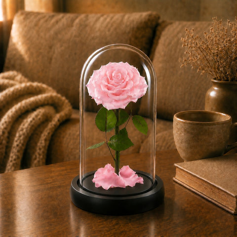 Preserved Rose in Glass Dome A Memory Preserved in A Rose