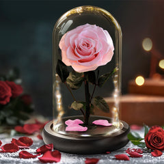 Forever Rose Gifts with LED Lights 3 Days Delivery