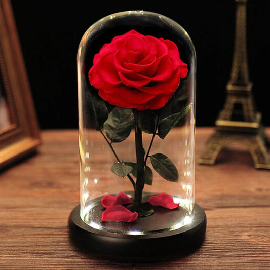 Preserved Rose in Glass Dome Everlasting Rose with LED Lights