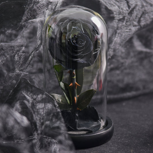 Forever Rose Real Flower in Glass Dome 3 Days Delivery - Black