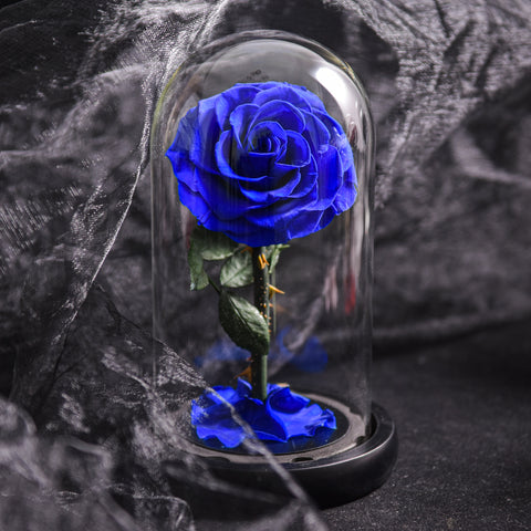 Forever Rose in Glass Dome Timeless Rose A Memory Preserved in a Rose
