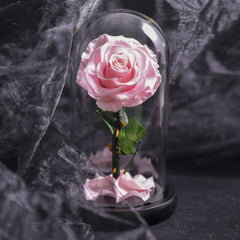 Forever Rose Everlasting Rose in Glass Dome 3 Days Delivery - Pink